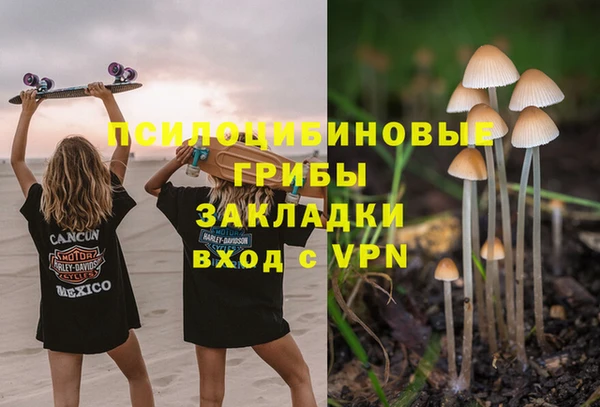 mdpv Арсеньев